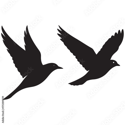 Silhouette of a flying bird vector illustration