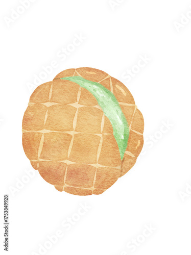 Melon pan Watercolor