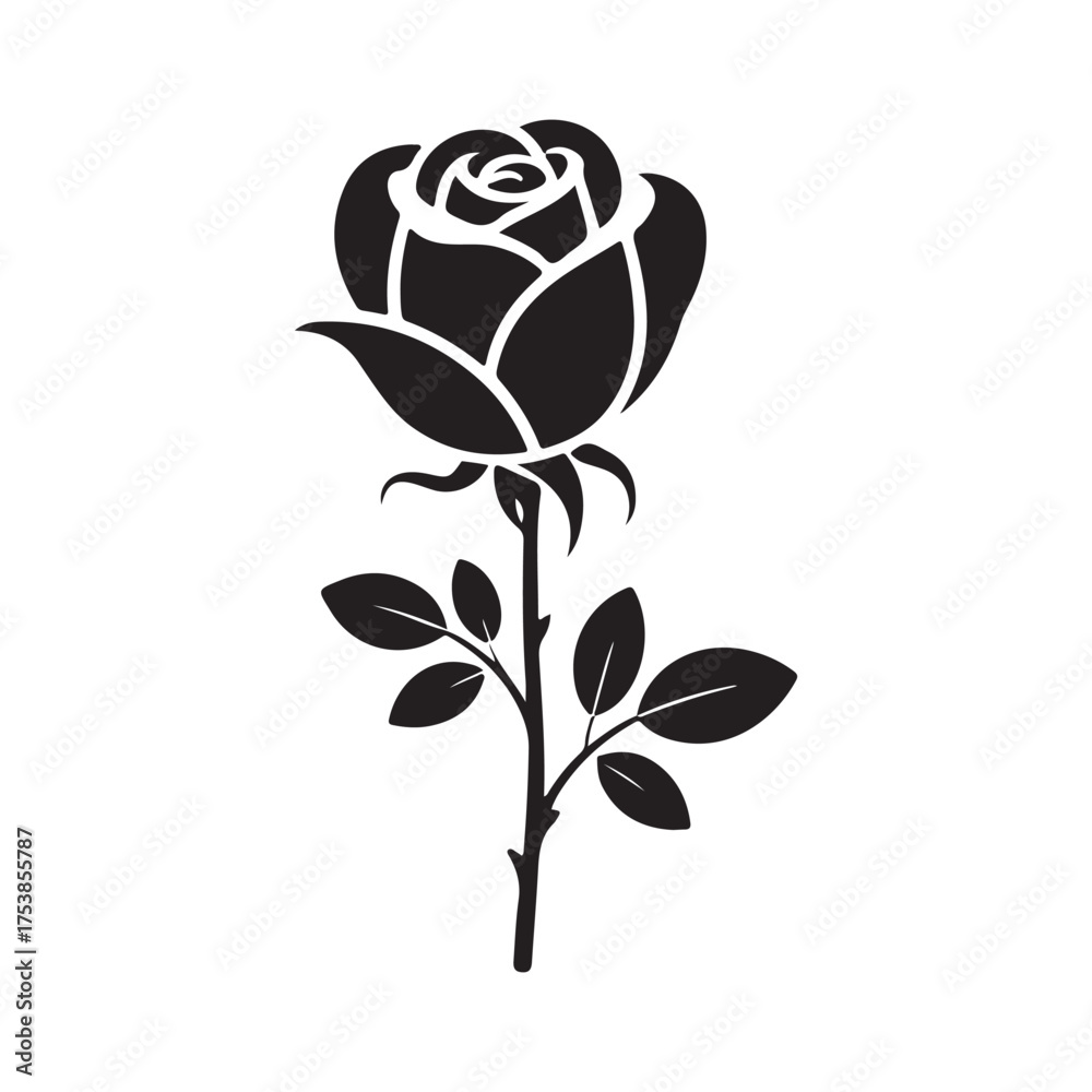Obraz premium rose