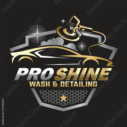 Car Paint and Detailing Salon Logo Design Template.