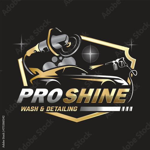 Car Paint and Detailing Salon Logo Design Template.