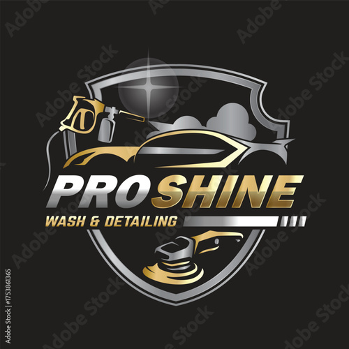 Car Paint and Detailing Salon Logo Design Template.
