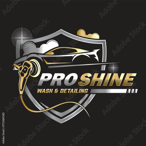 Car Paint and Detailing Salon Logo Design Template.