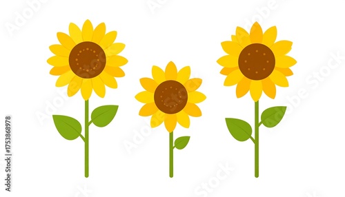 Sunflowers in Bloom - A Cheerful Trio of Summer Flowers.