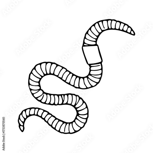 fishing bait or agriculture pest clipart