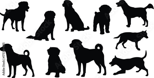  Dog silhouettes vector set, black canine shapes, pet breed icons, animal posture collection, isolated dog poses, editable stock illustration, white background