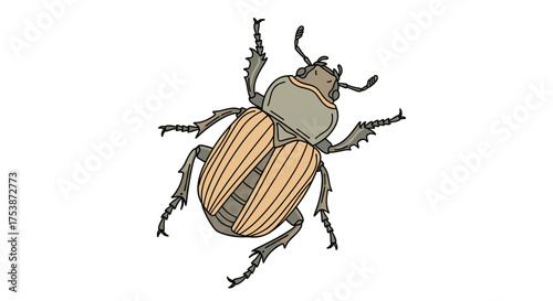 An illustration of a large brown and tan beetle with visible legs and antennae.