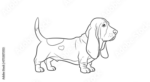 An outline drawing of a Basset Hound dog standing on a white background.