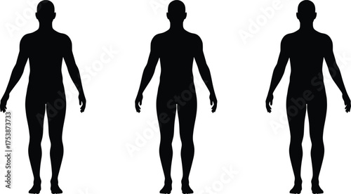  Human body silhouette, standing posture vector, black isolated illustration, adult figure front view, anatomical reference, physical form, neutral stance, comparison concept