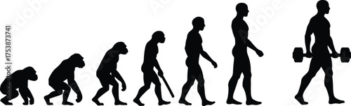  Human evolution silhouette vector, primate to bodybuilder, fitness progression, muscular man with dumbbells, black icons for science, anatomy, gym concept