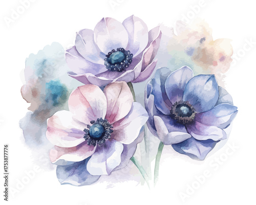 Anemone Watercolor Flowers Set with Soft Colors vector illustration