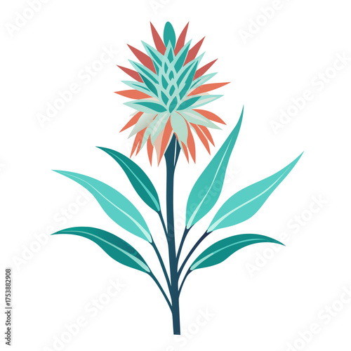 kniphofia-ice-queen flower line art vector on white backgound
