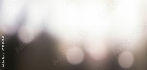 Abstract DSLR blurred background with warm white and brown tones, subtle bokeh lights, and a soft ambient glow creating a professional and elegant office atmosphere.