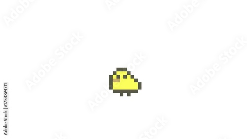 8-bit pixel art evolving from chick to chicken. looped animation 4k 30fps