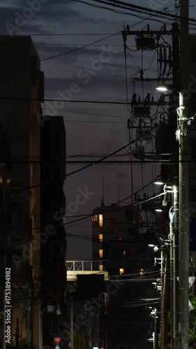 隅田川花火大会　2025年　縦動画