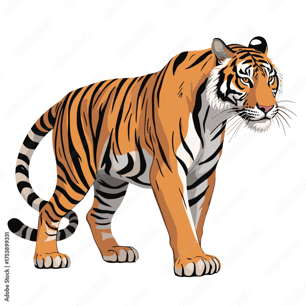 Obraz premium Majestic tiger standing alert with striking orange and black stripes in detailed illustration