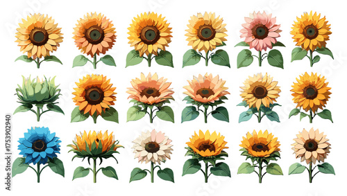 Modern Sunflower Outline Vector collection featuring artistic linear sunflower designs with clean geometry, soft elegance, and timeless beauty — perfect Flower Illustration Vectors for creative projec