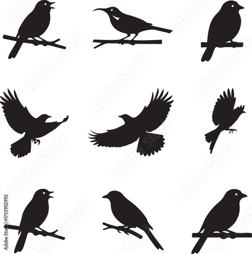 Bird Silhouettes: Collection of graceful bird silhouettes in different poses and stances, set against the purity of a clean background, conveying motion and stillness, perfect for designs.