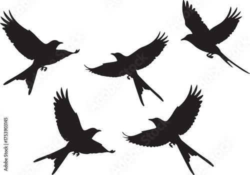 Soaring Silhouette: A flock of birds takes flight against a pristine backdrop, their dark forms starkly contrasting, illustrating freedom, movement, and natural grace. 
