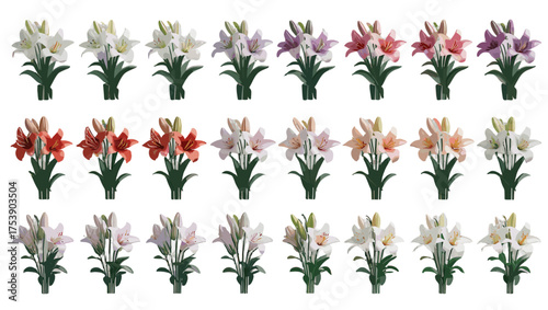 Luxury Lily Illustration Vector featuring elegant floral artistry with refined line details, soft gradients, and timeless sophistication — perfect Flower Illustration Vectors for premium design.