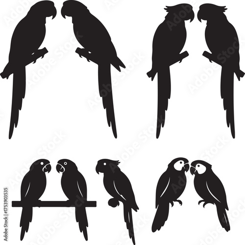 Silhouette of a Pair of Macaws: Delicate silhouettes of macaws in intimate pairs, poised on branches, epitomize tropical allure and the exoticism of nature. 