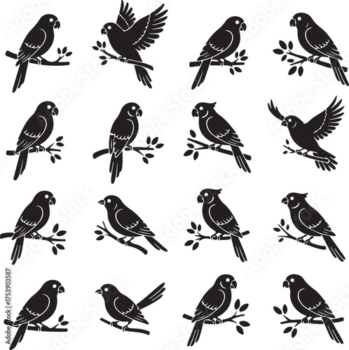 Birds Silhouettes: A collection of bird silhouettes in different poses. capturing the beauty of avian creatures.