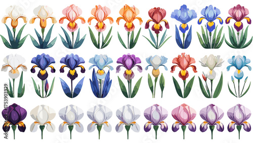 Delicate Iris Petal Vector – A Stunning Collection of Elegant Flower Illustration Vectors Showcasing Graceful Petal Details, Soft Gradients, and Artistic Botanical Charm for Designers.