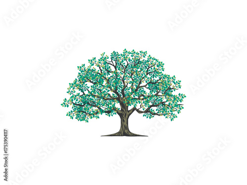 Olive tree logo  templates with circular shape, oak tree with the gap below the tree and the root to fill in the writing