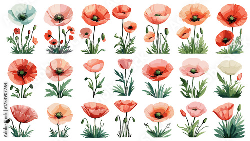Chic Poppy Blossom Vector featuring elegant floral designs with vibrant red tones, refined petal details, and artistic balance — perfect Flower Illustration Vectors for fashion, decor, or branding.