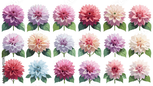Gradient Dahlia Flower Vector collection showcasing vibrant dahlia blooms with smooth gradient tones, refined detailing, and natural harmony — ideal Flower Illustration Vectors for creative.