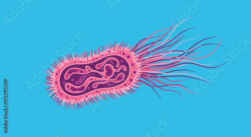 A microscopic view of a vibrant pink rod-shaped bacterium with numerous flagella on a bright blue background.