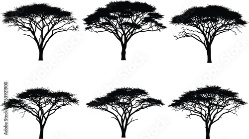 Acacia tree silhouettes, black and white illustration, savanna tree design, nature inspired concept, botanical diversity, minimal style, artistic layout, foliage structure, landscape element