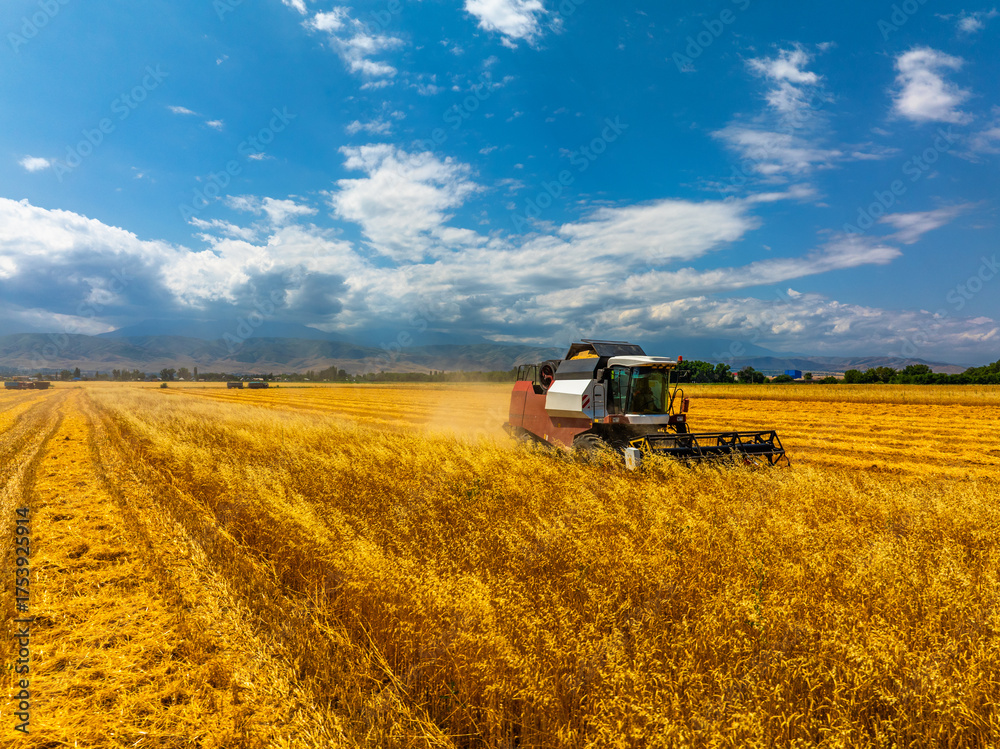 Obraz premium Combine harvester efficiently harvesting wheat in rural field. Serene atmosphere with mountains in background and bright sunshine enhances industrious mood of day.