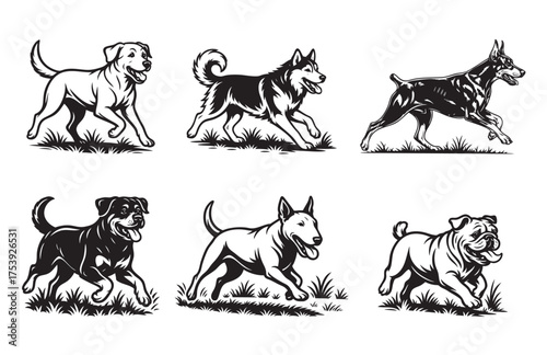 Vector set featuring six popular dog breeds Labrador, Husky, Doberman, Rottweiler, Bull Terrier, Bulldog all running happily in black and white