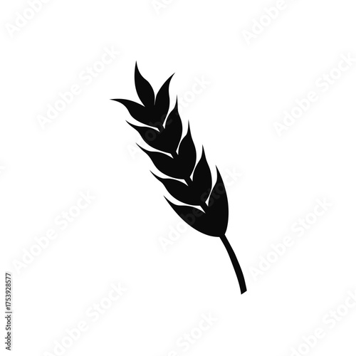 Silhouette image of a wheat stalk design on transparent background