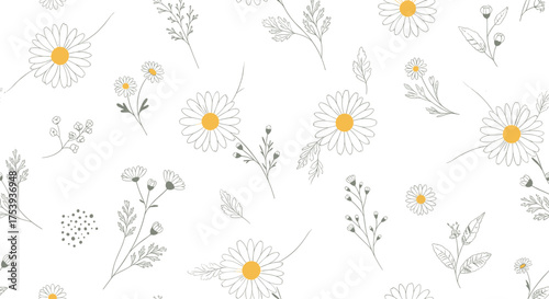 Delicate hand drawn chamomile flowers and grass scattered across a white background.