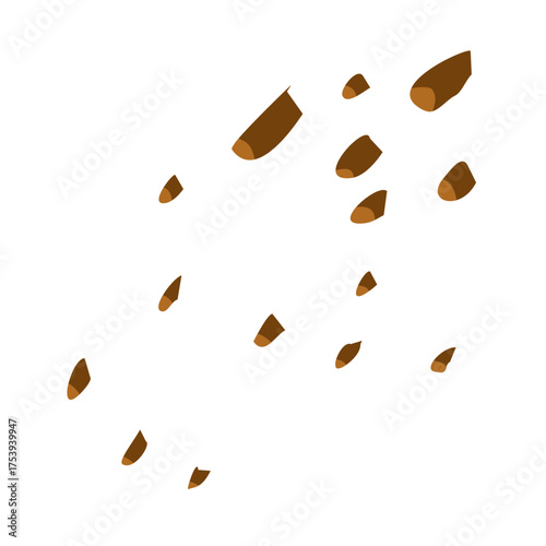 Chocolate cookie crumb