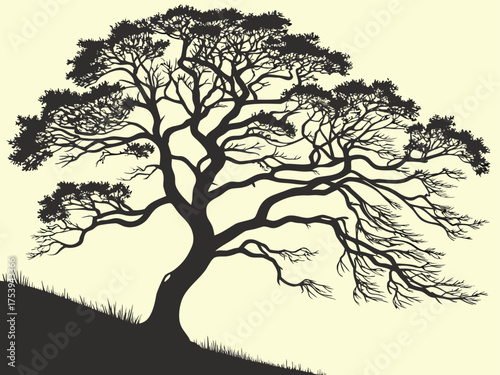 Ancient Oak Tree Illustration