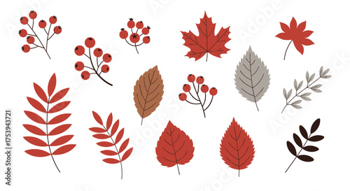 A collection of autumn leaves and berries in red and brown.