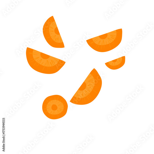 Sliced carrots vector