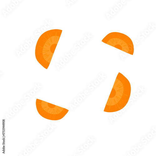 Sliced carrots vector
