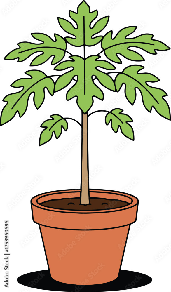 Fototapeta premium Cartoon illustration of a papaya tree in a terracotta pot with green leaves and brown soil on a white background