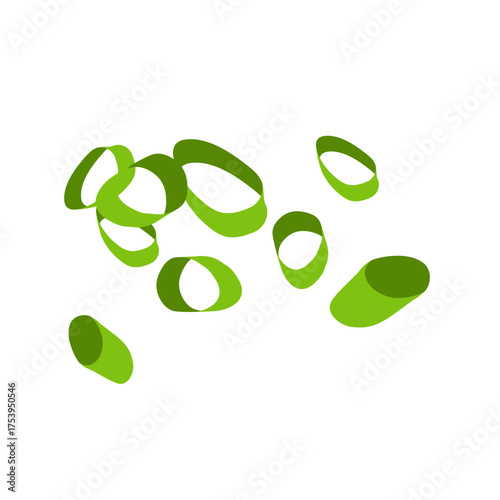 Slice scallons vector
