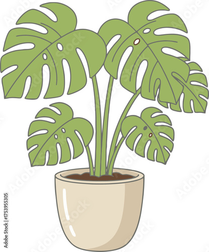 Potted Monstera Deliciosa Plant with Large Green Split Leaves potted plant houseplant