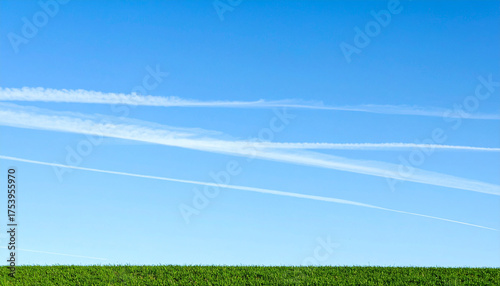 Serene Sky and Green Field: The boundless blue canvas of the sky meets a vibrant green field, a visual representation of freedom and the beauty of nature.