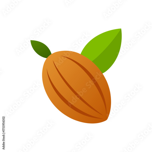 Illustration of a cocoa pod with two leaves on transparent background