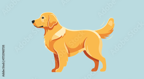 Golden Retriever Illustration for Pet-Related Content and Animal Education Materials, Suitable for Website Designs and Veterinary Clinic Promotions