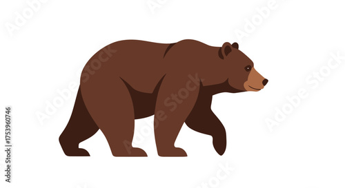Realistic Brown Bear Illustration Walking Isolated on White Background for Educational Purposes, Wildlife Conservation, and Use in Children's Books and Nature Guides