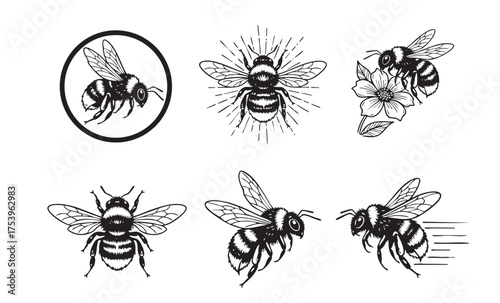Charming set of bumble bee vector illustrations in various flying and perching poses with flowers, in a black and white woodcut style.