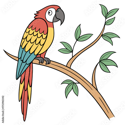 parrot on branch